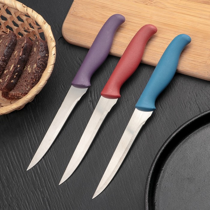 Нож "Мультиколор" лезвие 12 см, цвета МИКС