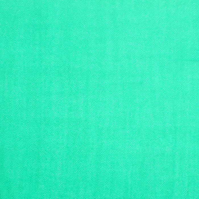 Палантин однотонный с бахромой, размер 70х170 см, цвет ментол 108 текстиль, фланель