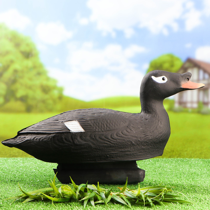 Фигура подсадная "Турпан горбоносый" селезень