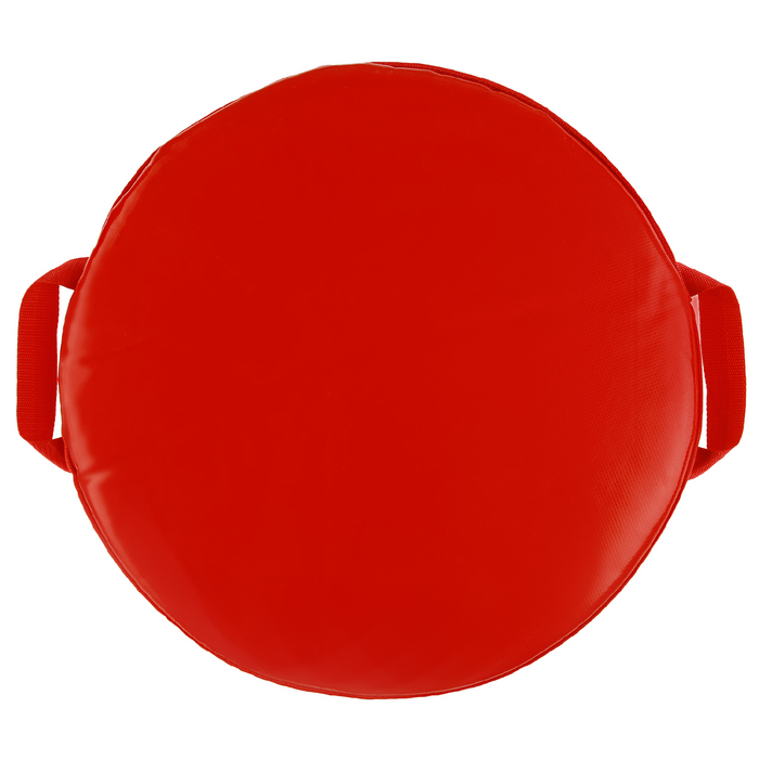 Санки-ледянки «Нюша на сноуборде», диаметр 45 см