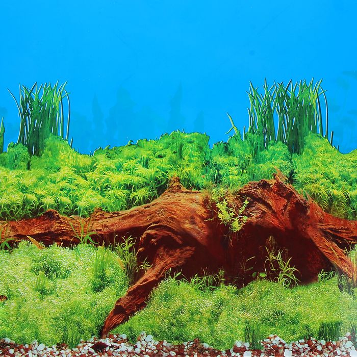 Фон двухсторонний 40смХ15 м рулон "Раст. с корягой (синий) / Раст. с корягой