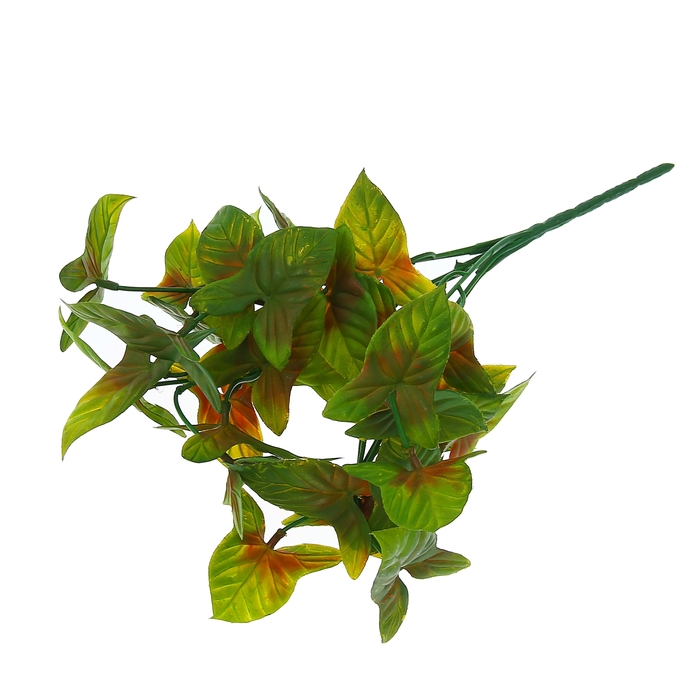 Букет "Стрелолист" микс