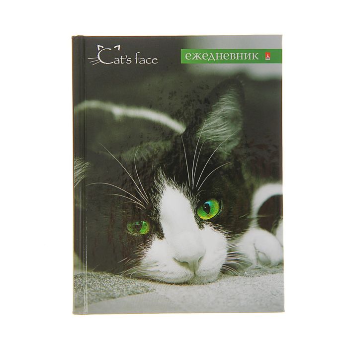 Ежедневник недатированный А6 «Кошечка», глянцевая ламинация, линия