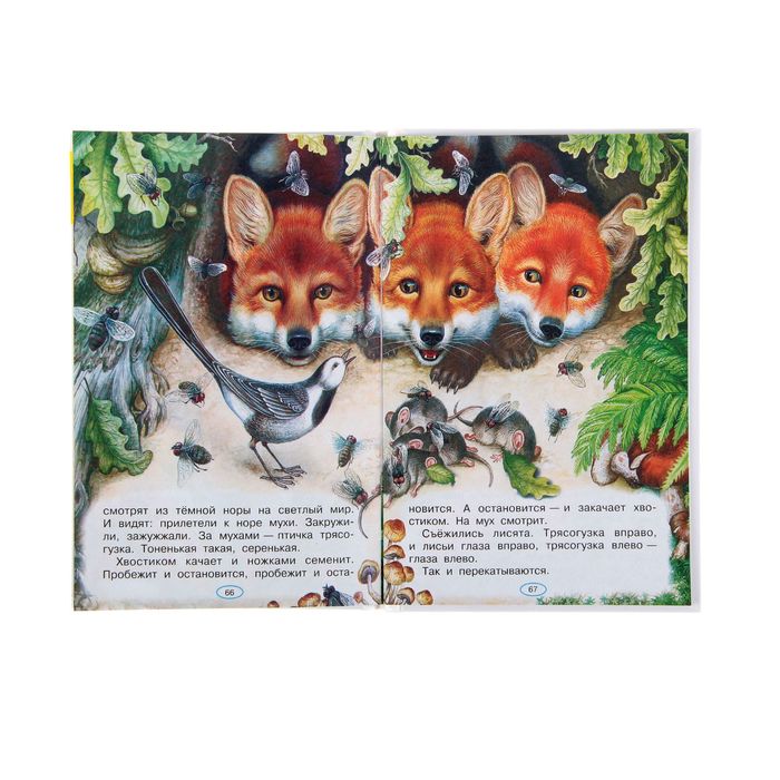 Рассказы о природе