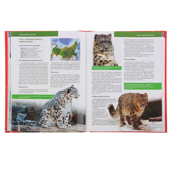 Красная книга Земли (новое оформление). Автор: Скалдина О.В., Слиж Е.А.