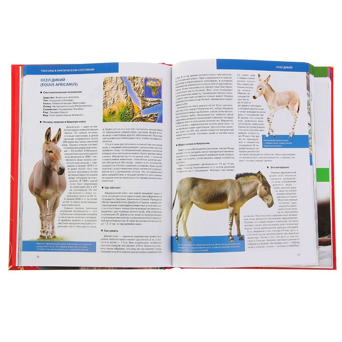 Красная книга Земли (новое оформление). Автор: Скалдина О.В., Слиж Е.А.