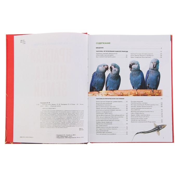 Красная книга Земли (новое оформление). Автор: Скалдина О.В., Слиж Е.А.