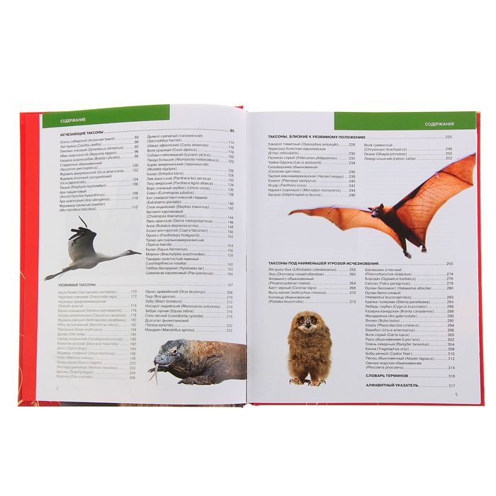 Красная книга Земли (новое оформление). Автор: Скалдина О.В., Слиж Е.А.