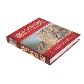 

Большая красная книга. Скалдина О. В., Слиж Е. А.