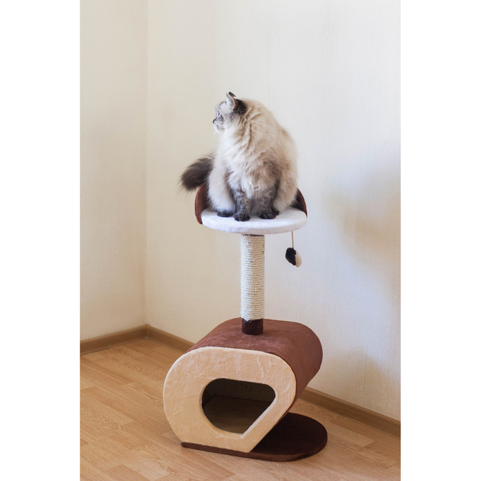 Дом-когтеточка изогнутый, 40 х 30 х 75 см, микс цветов