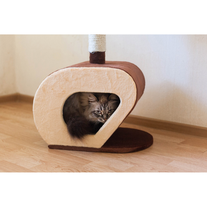 Дом-когтеточка изогнутый, 40 х 30 х 75 см, микс цветов