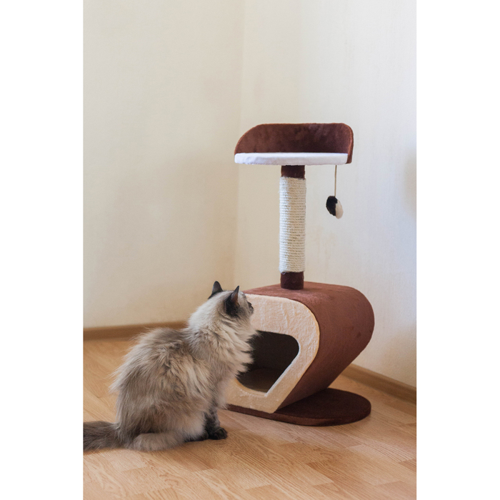 Дом-когтеточка изогнутый, 40 х 30 х 75 см, микс цветов