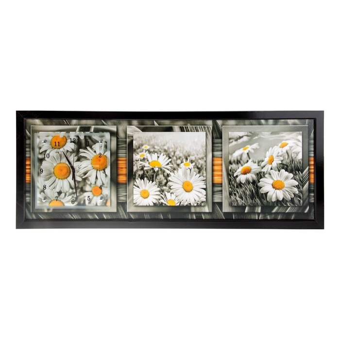 Часы-картина настенные "Ромашки в черно-белом поле", 35х100 см микс