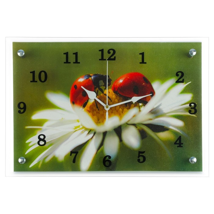 Часы настенные прямоугольные "Божья коровка на ромашке" микс 25х35см