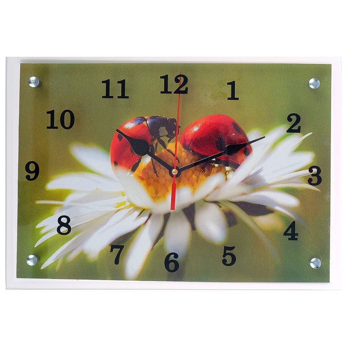 Часы настенные прямоугольные "Божья коровка на ромашке" микс 25х35см