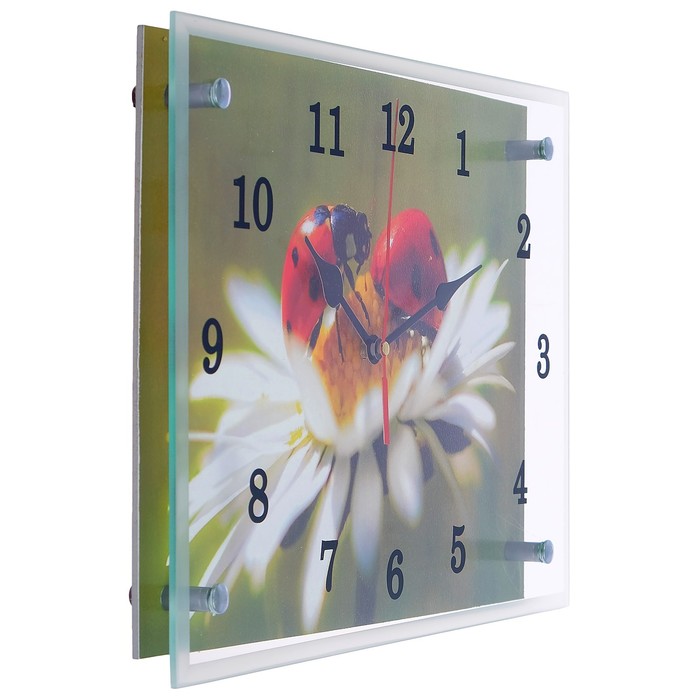 Часы настенные прямоугольные "Божья коровка на ромашке" микс 25х35см