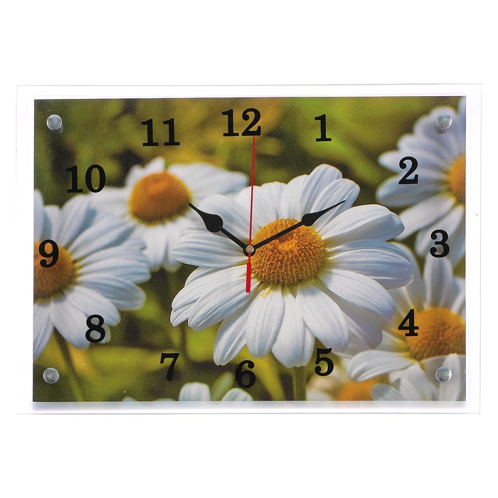 Часы настенные прямоугольные "Полевые ромашки"25х35см микс