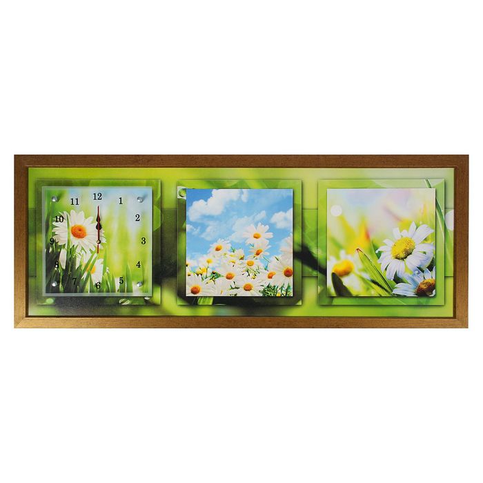 Часы-картина настенные "Небо и ромашки", 35х100 см микс