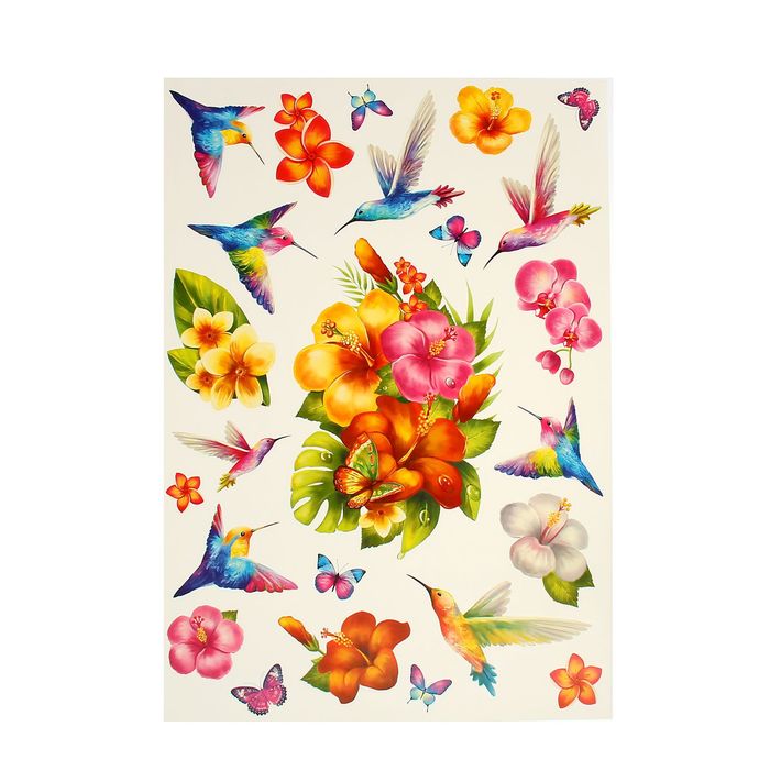 Наклейки интерьерные "Колибри"