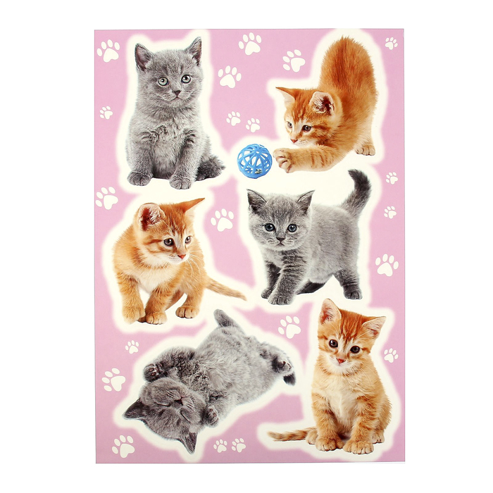 Наклейки интерьерные "Кот Борис"