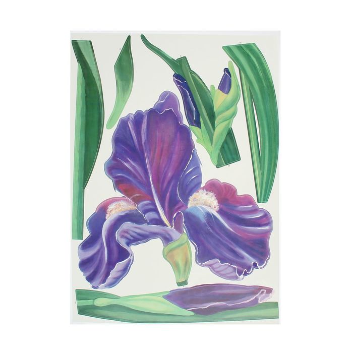 Наклейки интерьерные "Ирисы", набор 3 листа