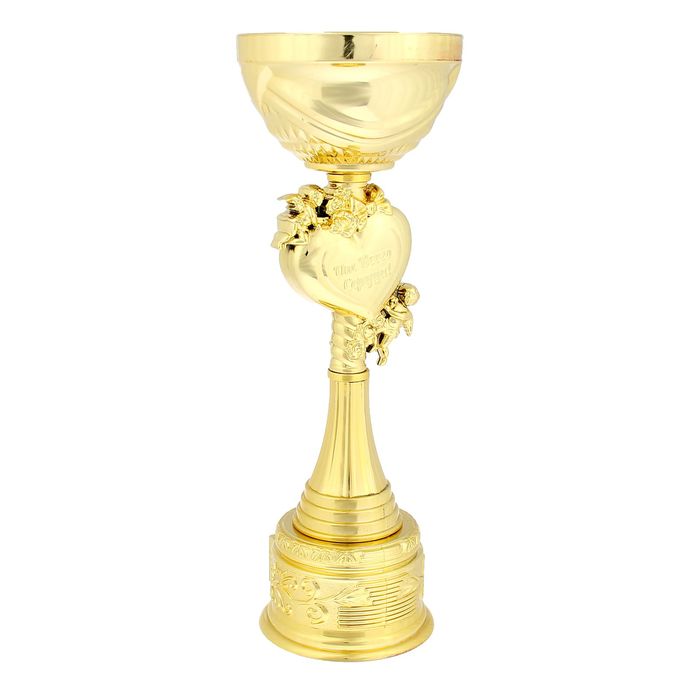 Кубок "За успехи в воспитании детей и мужа"