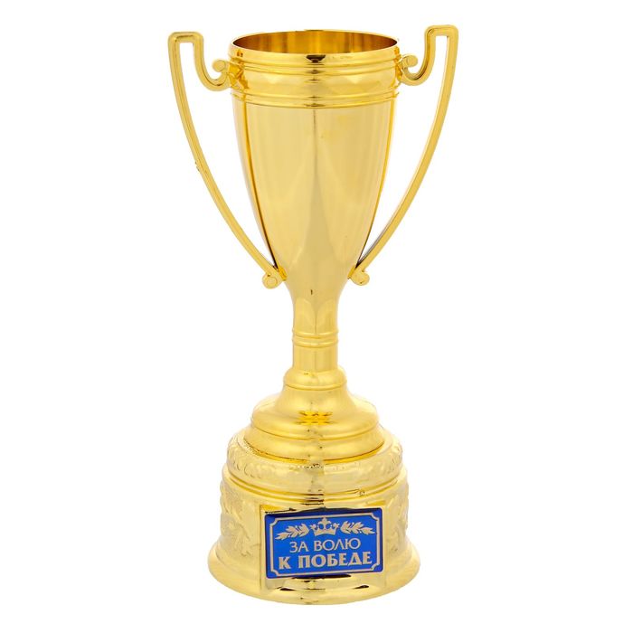 Кубок "За волю к победе"