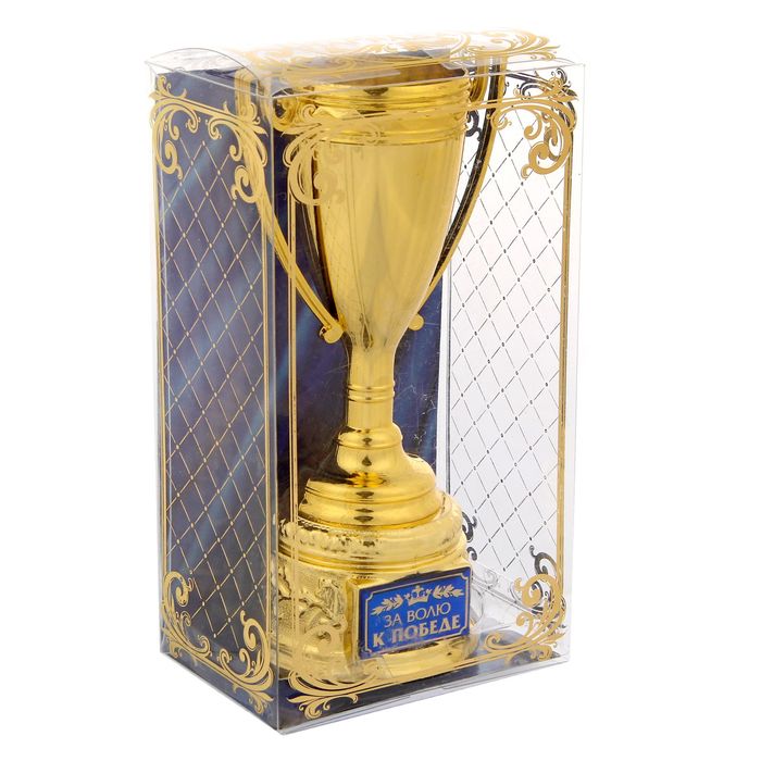 Кубок "За волю к победе"