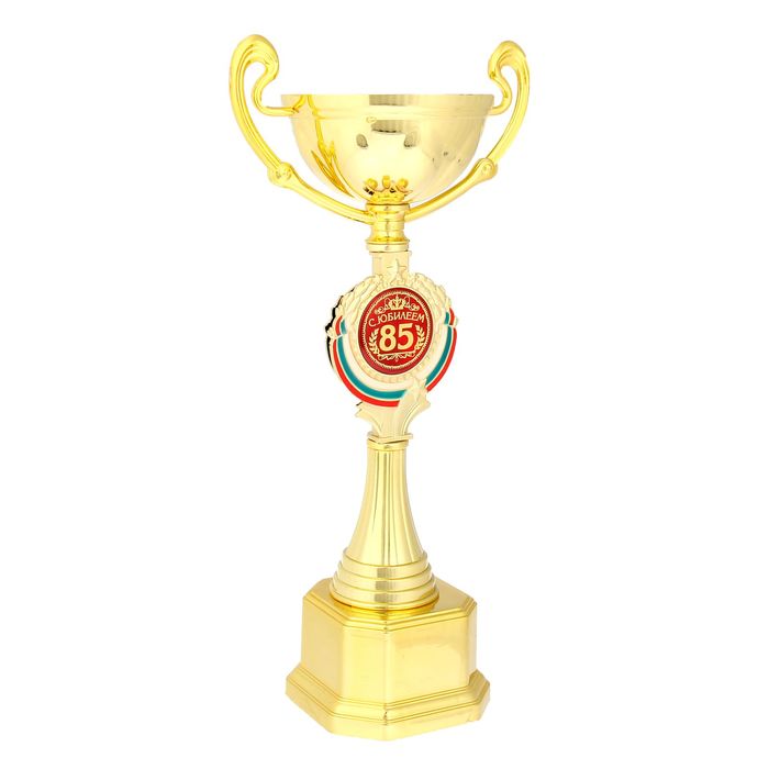 Кубок "С Юбилеем 85"