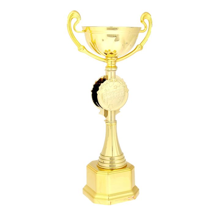 Кубок "С Юбилеем 85"