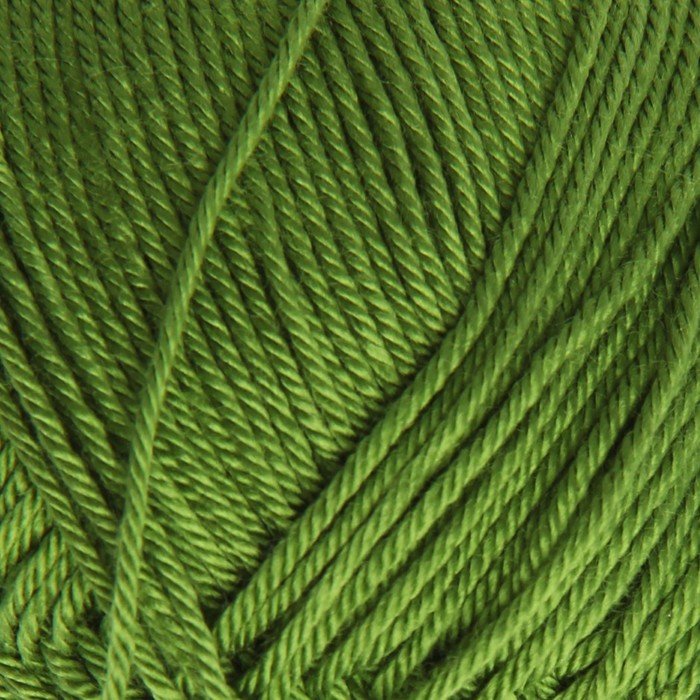 Пряжа "Diva" 100% микрофибра 350м/100гр (210 зеленый)