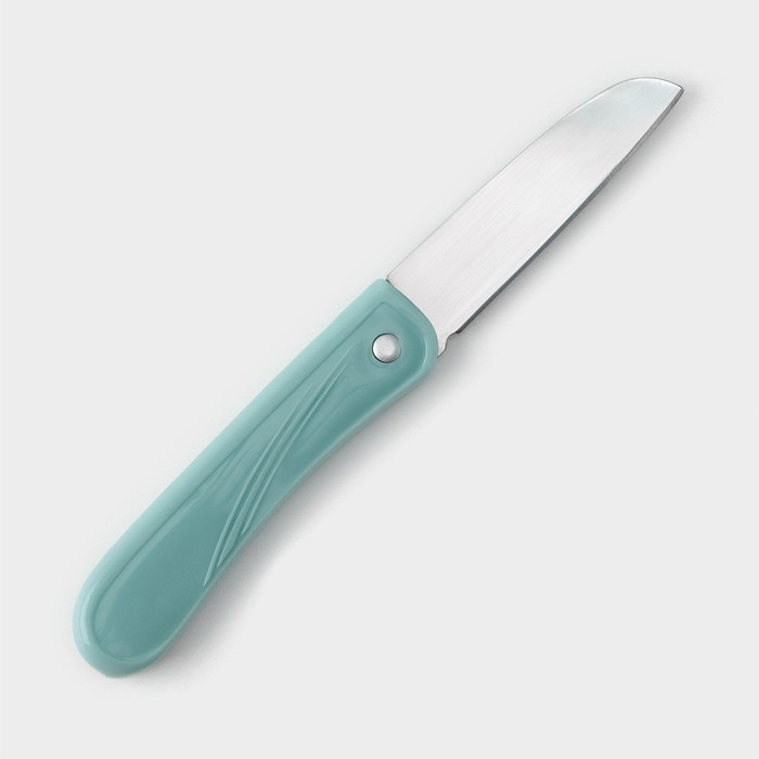 Нож для овощей кухонный складной, 7 см, цвет МИКС цена и фото