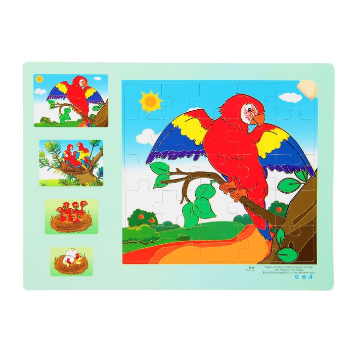 Пазл Эволюция "Попугай", 25 элементов