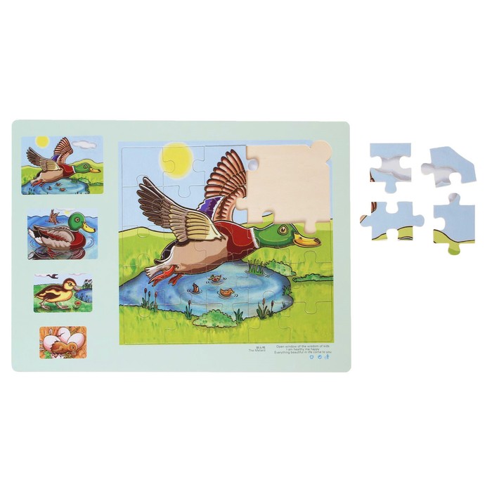 Пазл Эволюция "Утка", 25 элементов