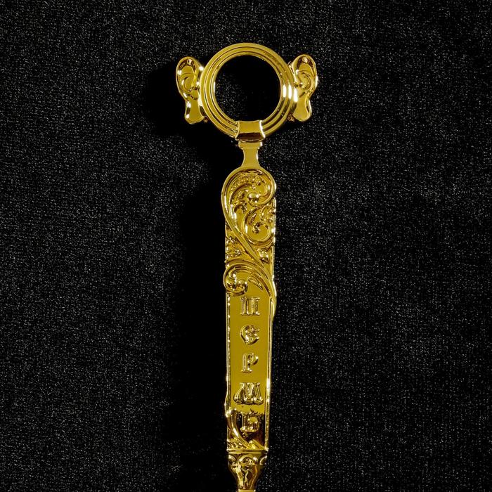 Ложка сувенирная «Пермь»