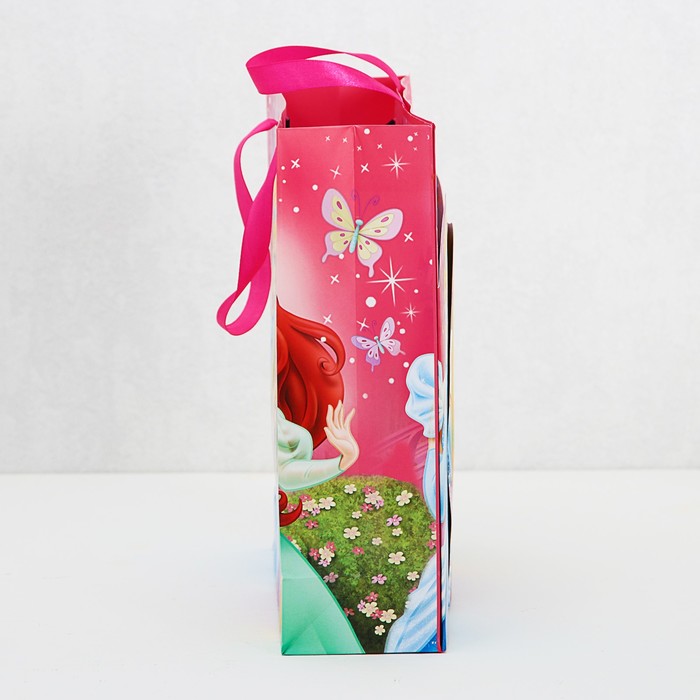 Пакет ламинат с открыткой-игрой "Подарок для принцессы", Принцессы