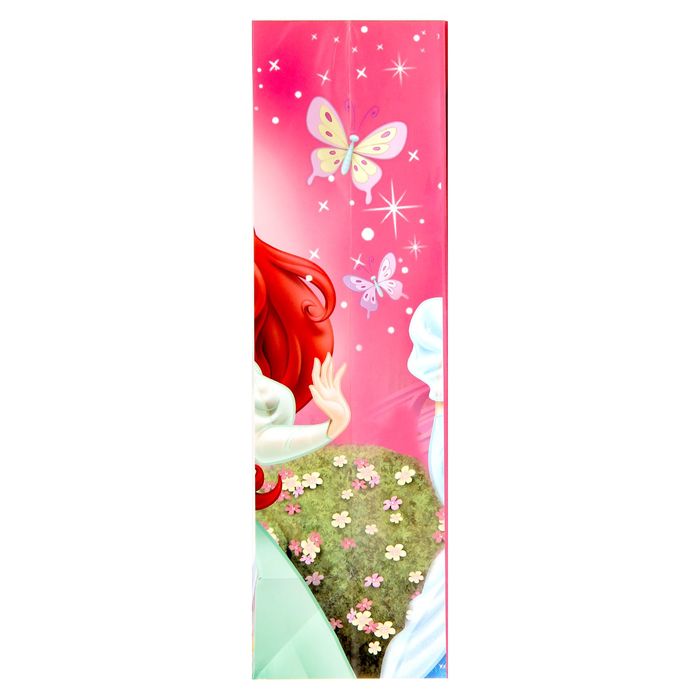 Пакет ламинат с открыткой-игрой "Подарок для принцессы", Принцессы