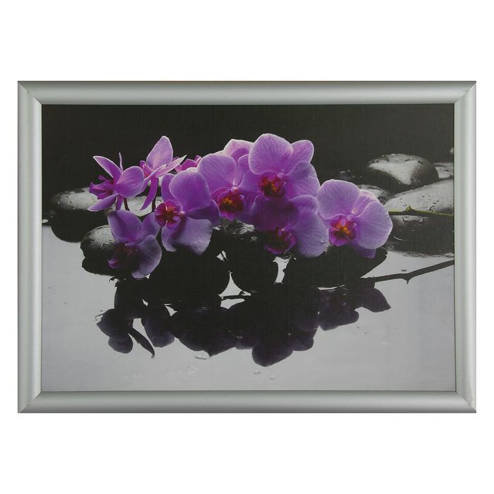 Картина "Орхидея на камнях" рама микс