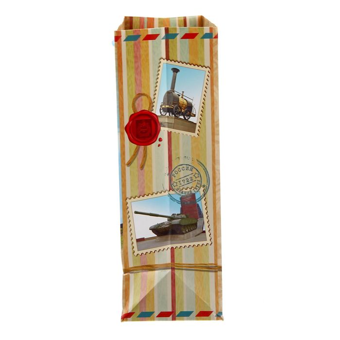 Пакет вертикальный МS «Нижний Тагил»