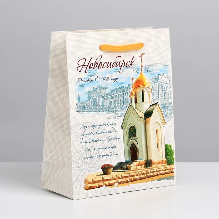 Пакет подарочный S «Новосибирск»