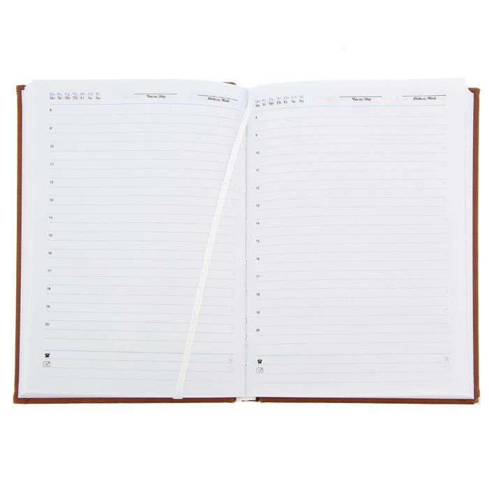 Ежедневник "Дневник успеха", экокожа, А5, 160 листов