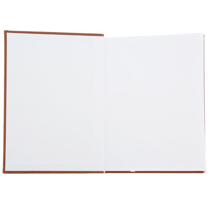 Ежедневник "Дневник успеха", экокожа, А5, 160 листов