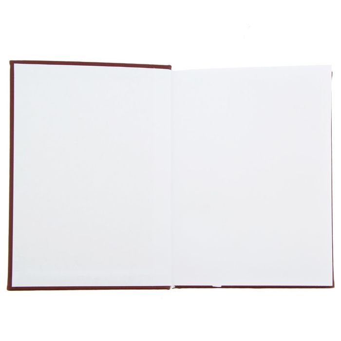 Ежедневник "Секреты богатства", экокожа, А5, 160 листов