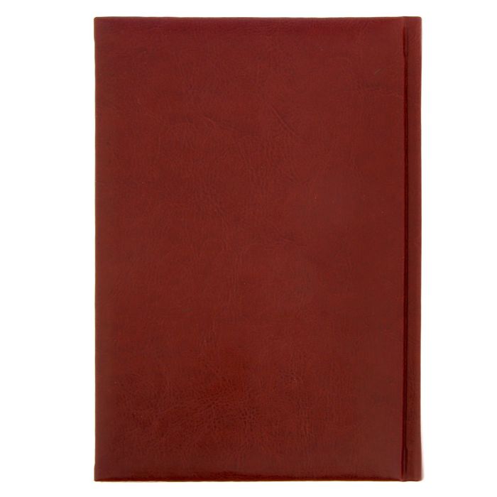 Ежедневник "Секреты богатства", экокожа, А5, 160 листов