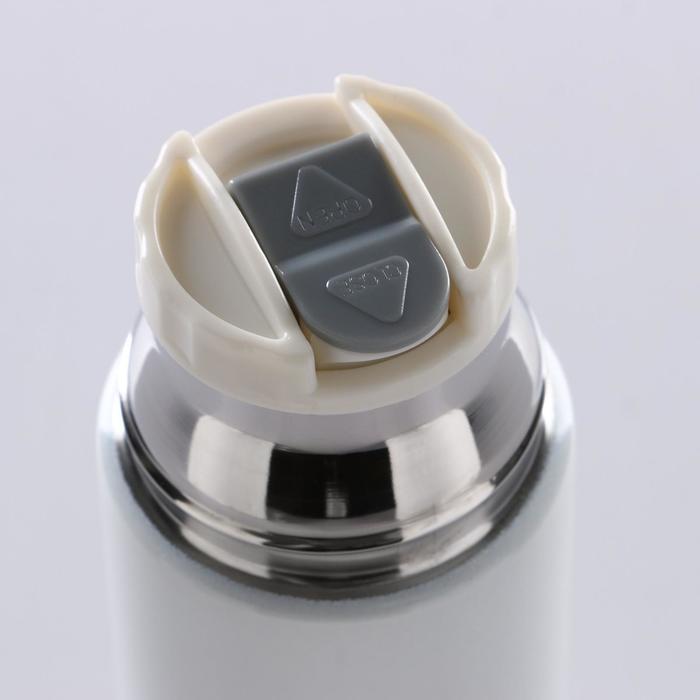 Термос «Свежесть фруктов», 500 мл, 1 кружка, микс