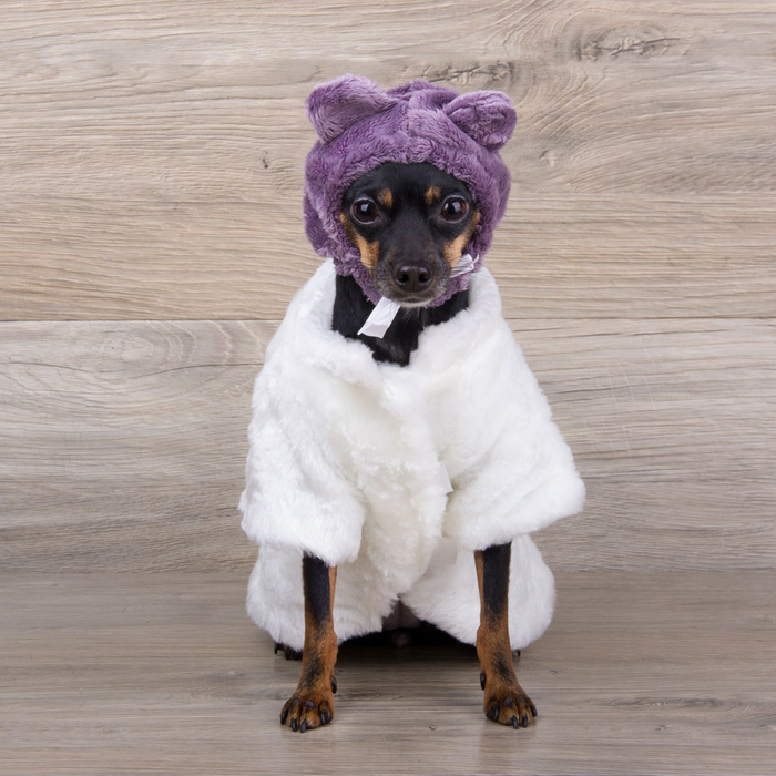 Шапочка зимняя на завязках с ушками, XS(обхват морды-22см, обхват шеи-18см, боковая высота-11см), плюш