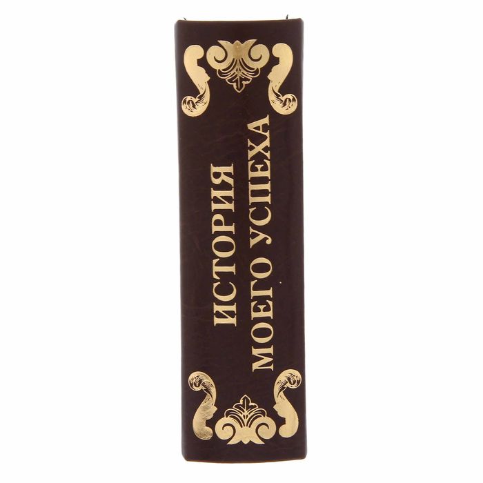 Книга-шкатулка "История моего успеха"
