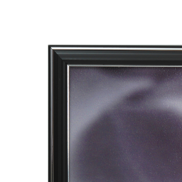 Картина "Розовые орхидеи"