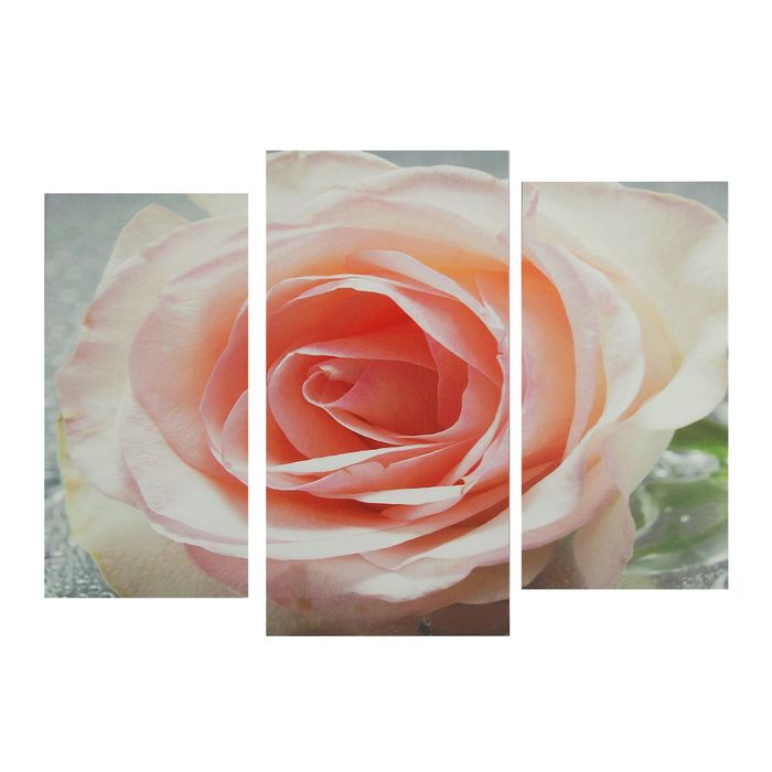 Модульная картина на подрамнике "Персиковая роза", 2 шт. — 25,5×50,5 см, 30,5×60 см, 60×100 см