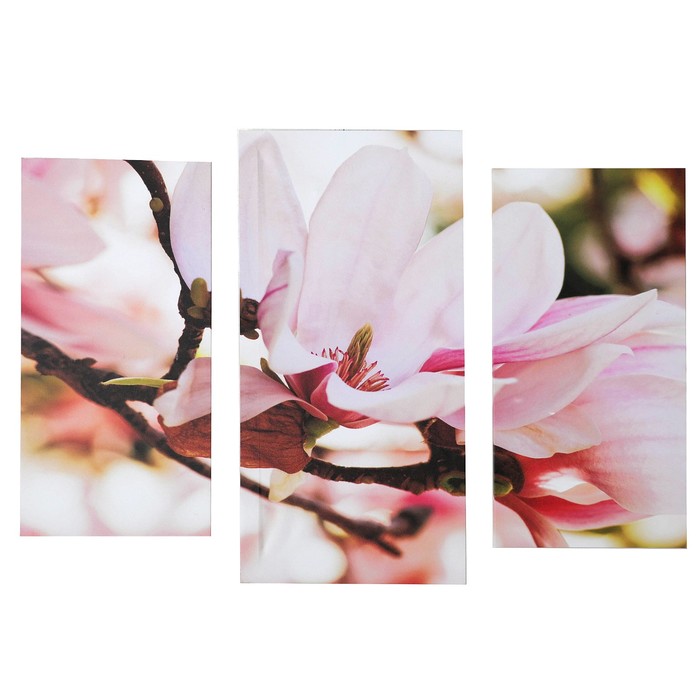 Модульная картина на подрамнике "Магнолия", 2 шт. — 25,5×50,5 см, 30,5×60 см, 60×100 см